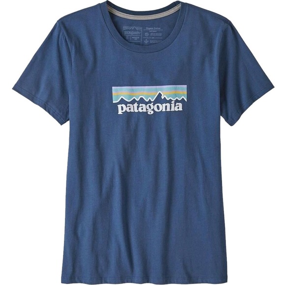 Patagonia Tops - Patagonia Blue Tee Shirt